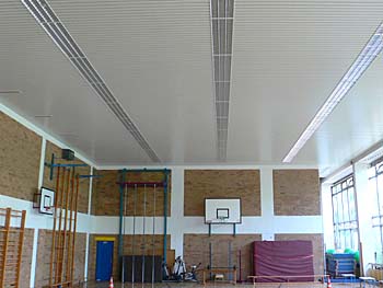 Dobner Sport Strip Ceilings