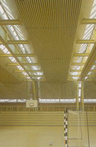 Sport Strip Ceilings